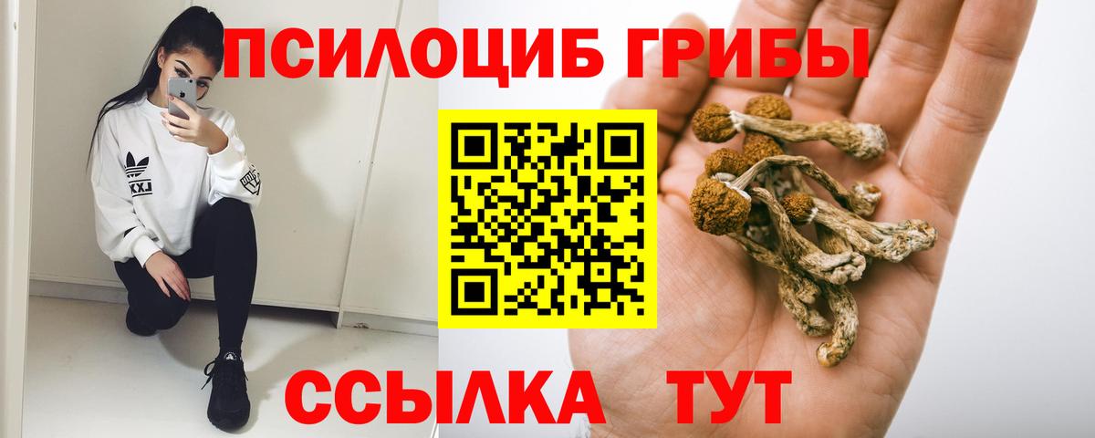 Гудермес  хочу наркоту  Вход с VPN  Псилоцибиновые грибы Magic Shrooms 